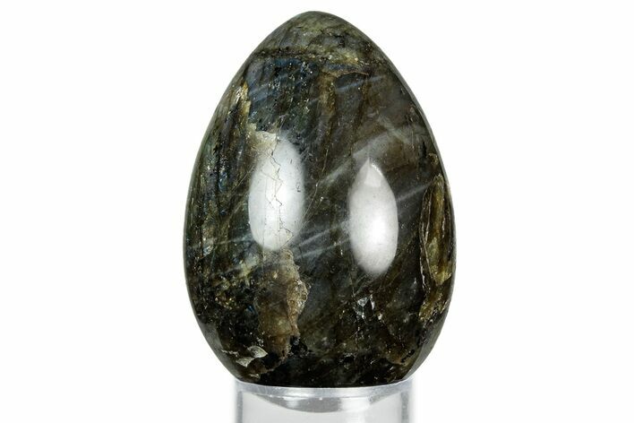 Flashy, Polished Labradorite Egg - Madagascar #344323